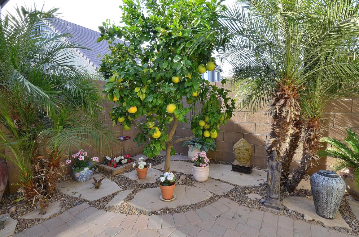 3351 E Comstock Dr, Gilbert, AZ 85296 photo 29