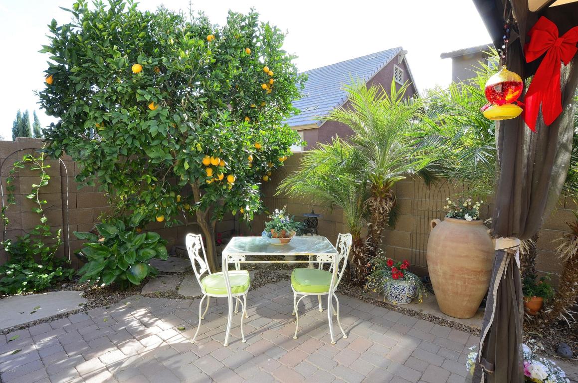 3351 E Comstock Dr, Gilbert, AZ 85296 photo 30