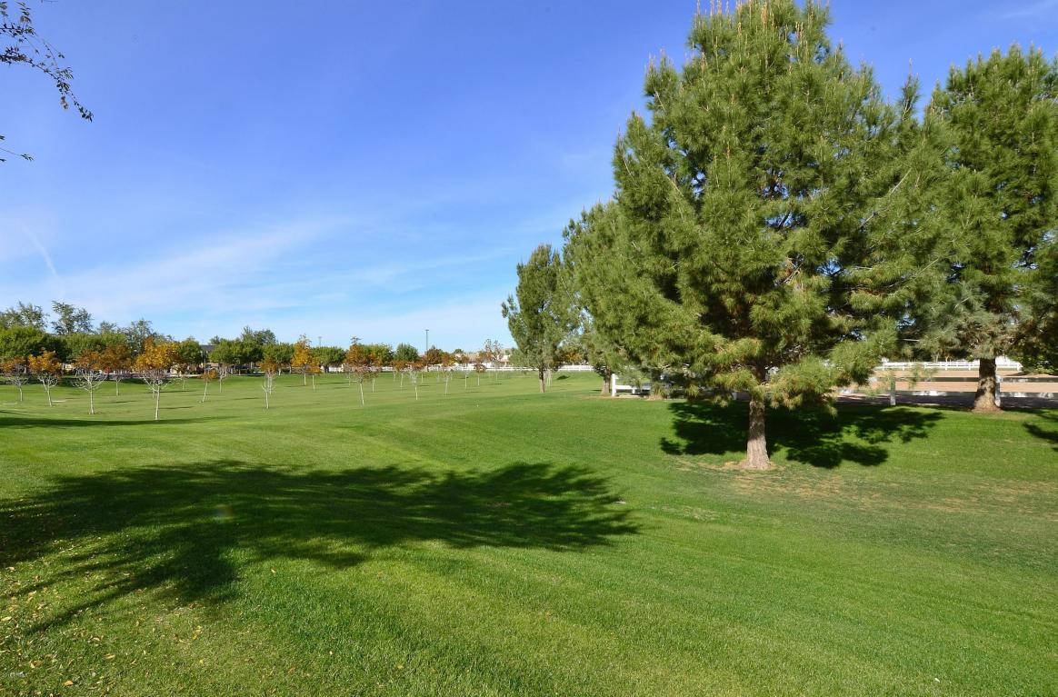 3351 E Comstock Dr, Gilbert, AZ 85296 photo 34