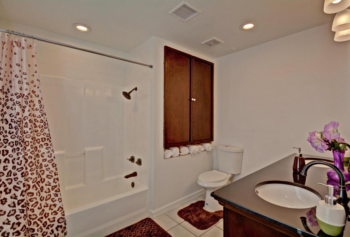 3337 E Gelding Dr, Phoenix, AZ 85032 photo 19