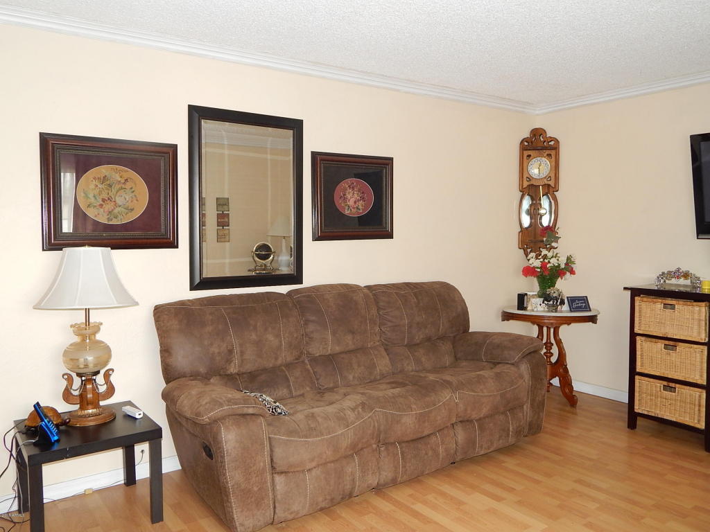 2910 E Turquoise Dr, Phoenix, AZ 85028 photo 19