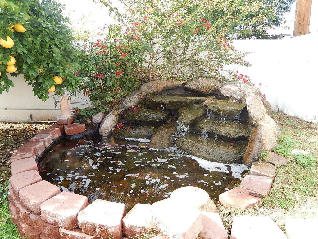 2910 E Turquoise Dr, Phoenix, AZ 85028 photo 63