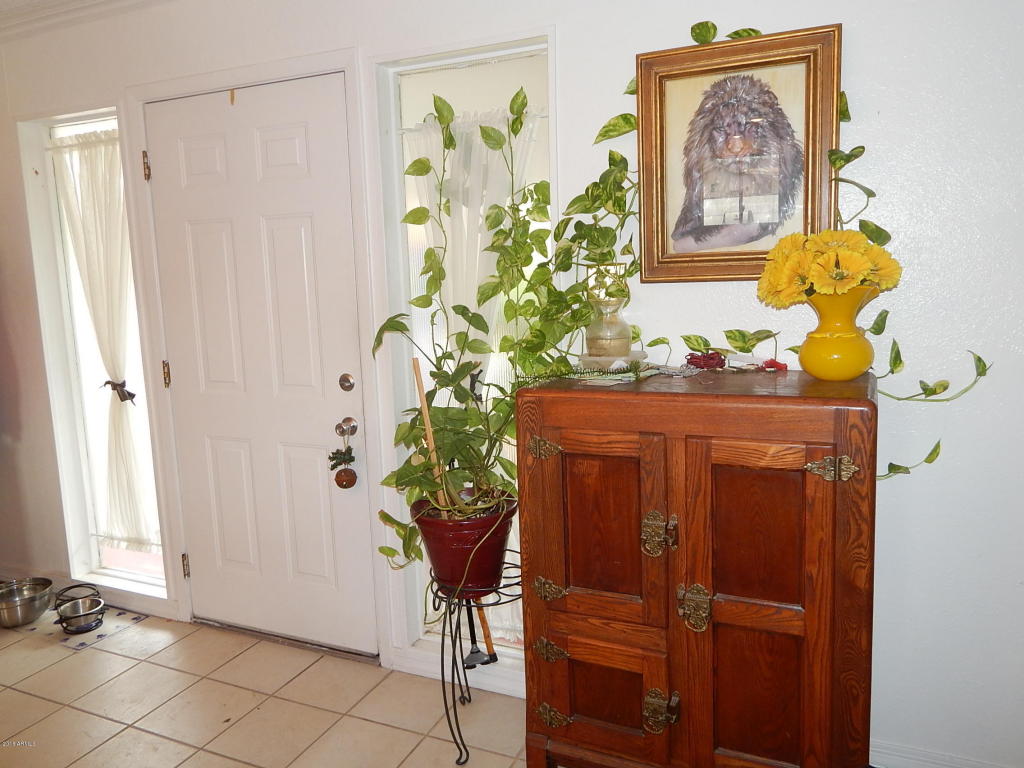 2910 E Turquoise Dr, Phoenix, AZ 85028 photo 8