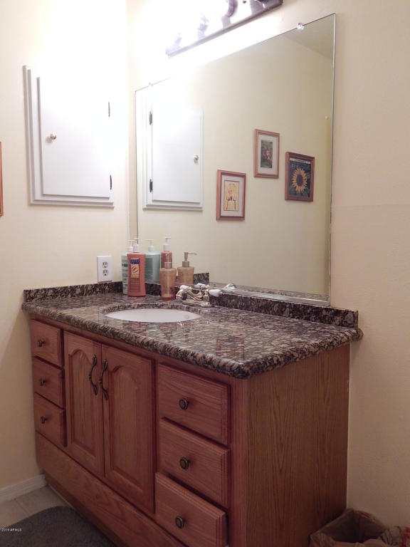 2910 E Turquoise Dr, Phoenix, AZ 85028 photo 43