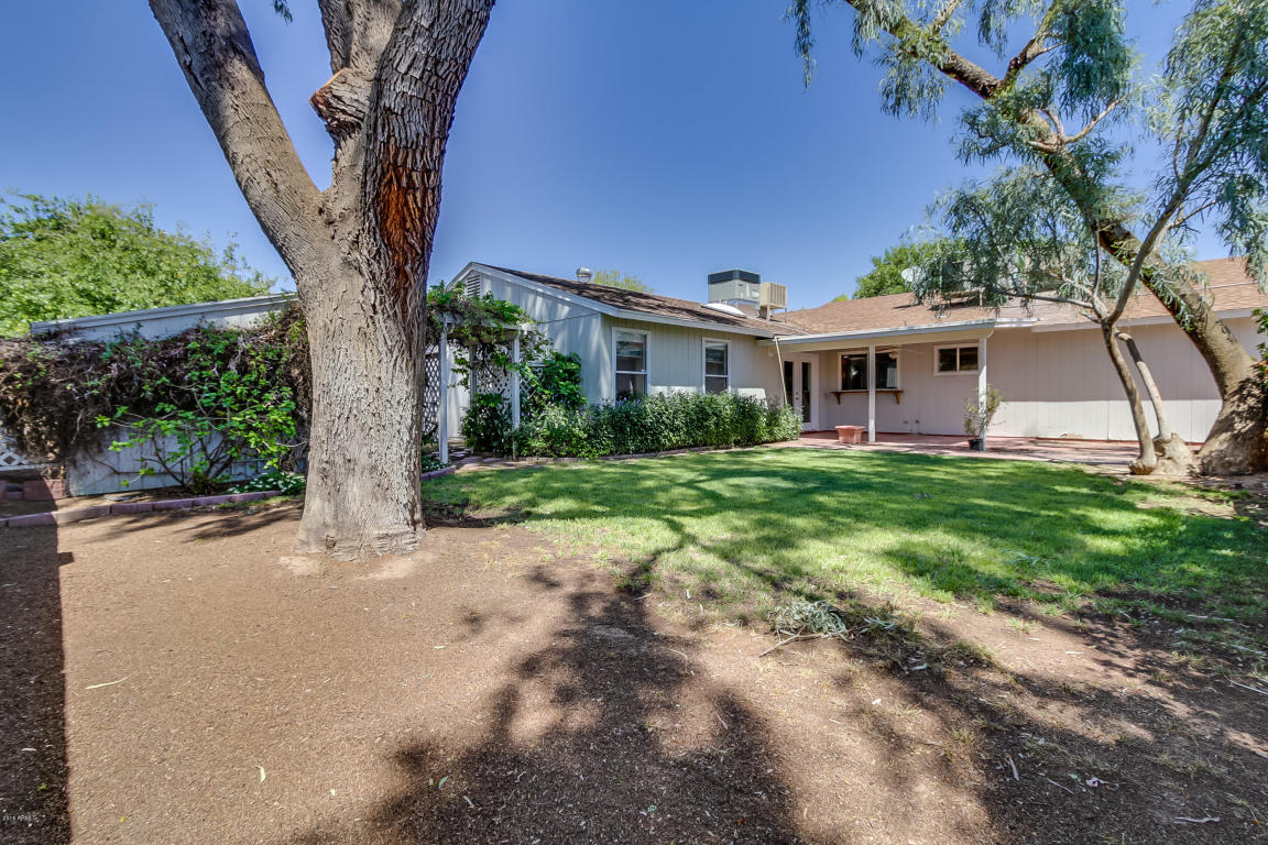 409 E Glencove St, Mesa, AZ 85203 photo 46