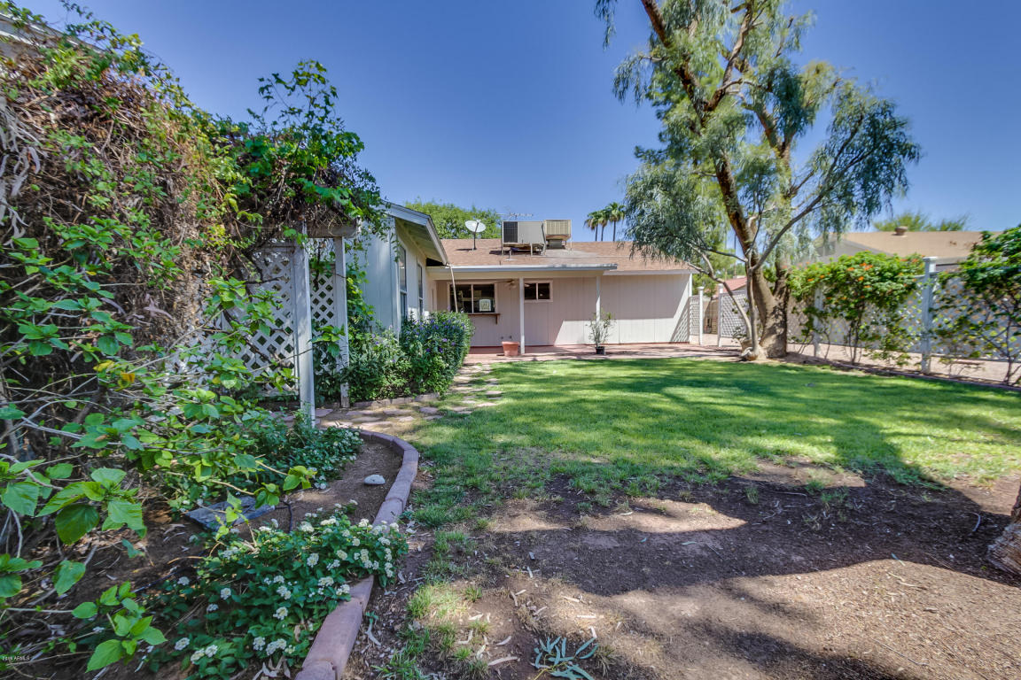 409 E Glencove St, Mesa, AZ 85203 photo 47