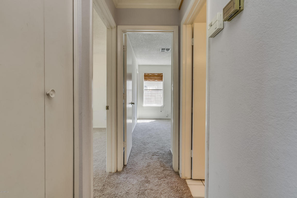 409 E Glencove St, Mesa, AZ 85203 photo 65