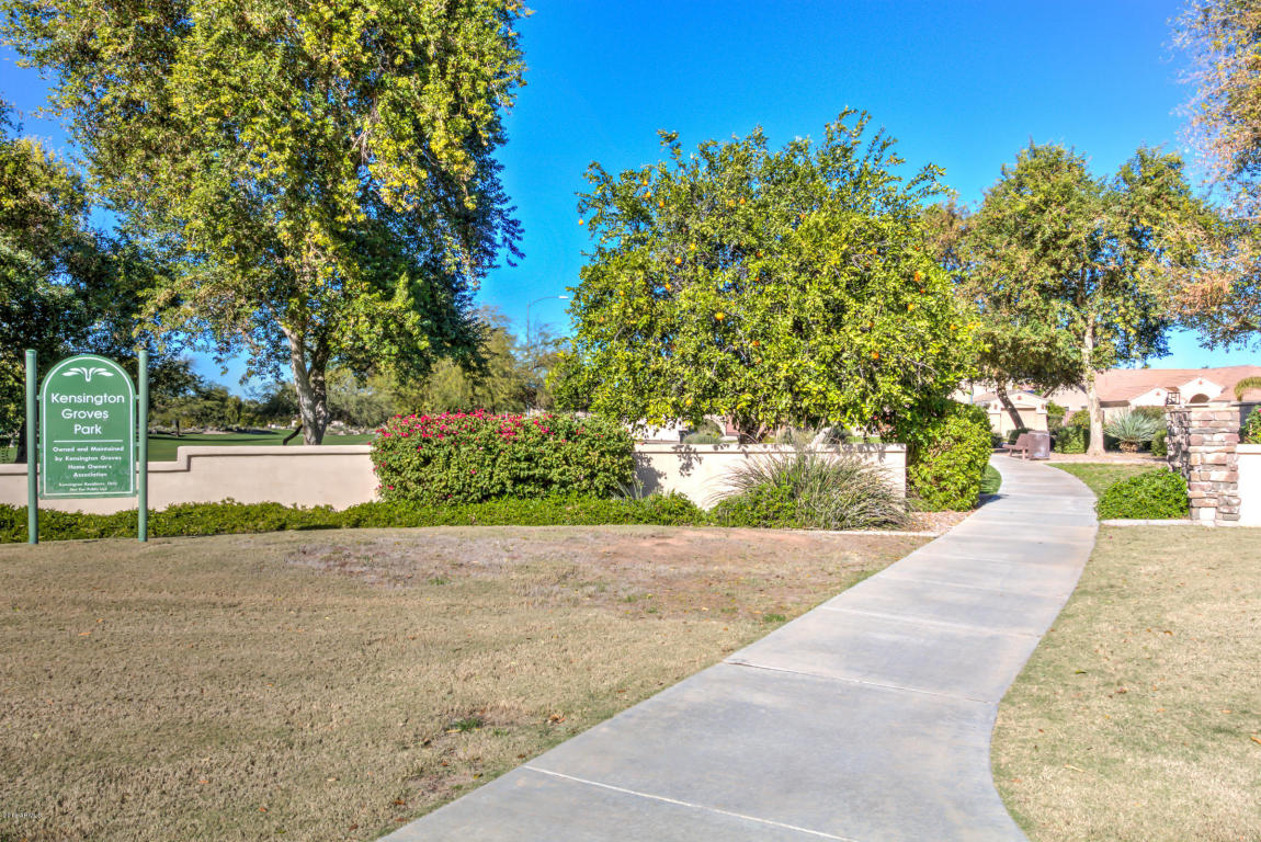2947 E Hale St, Mesa, AZ 85213 photo 54