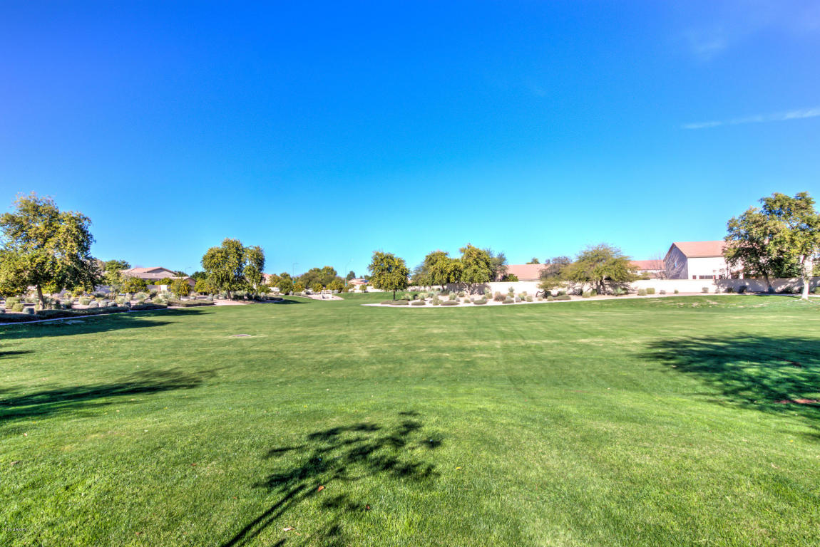 2947 E Hale St, Mesa, AZ 85213 photo 60