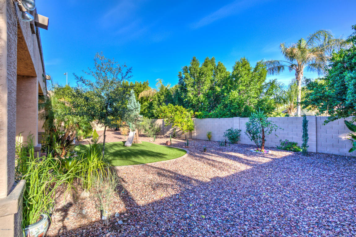 2947 E Hale St, Mesa, AZ 85213 photo 50