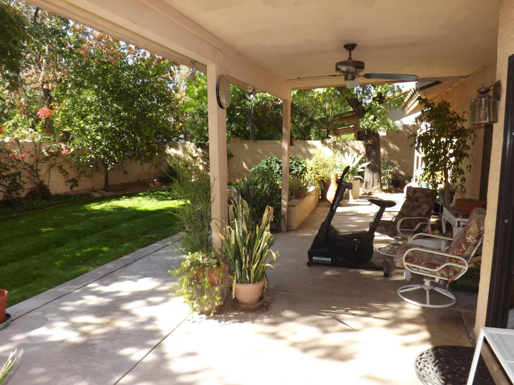 1231 E Grandview St, Mesa, AZ 85203 photo 36