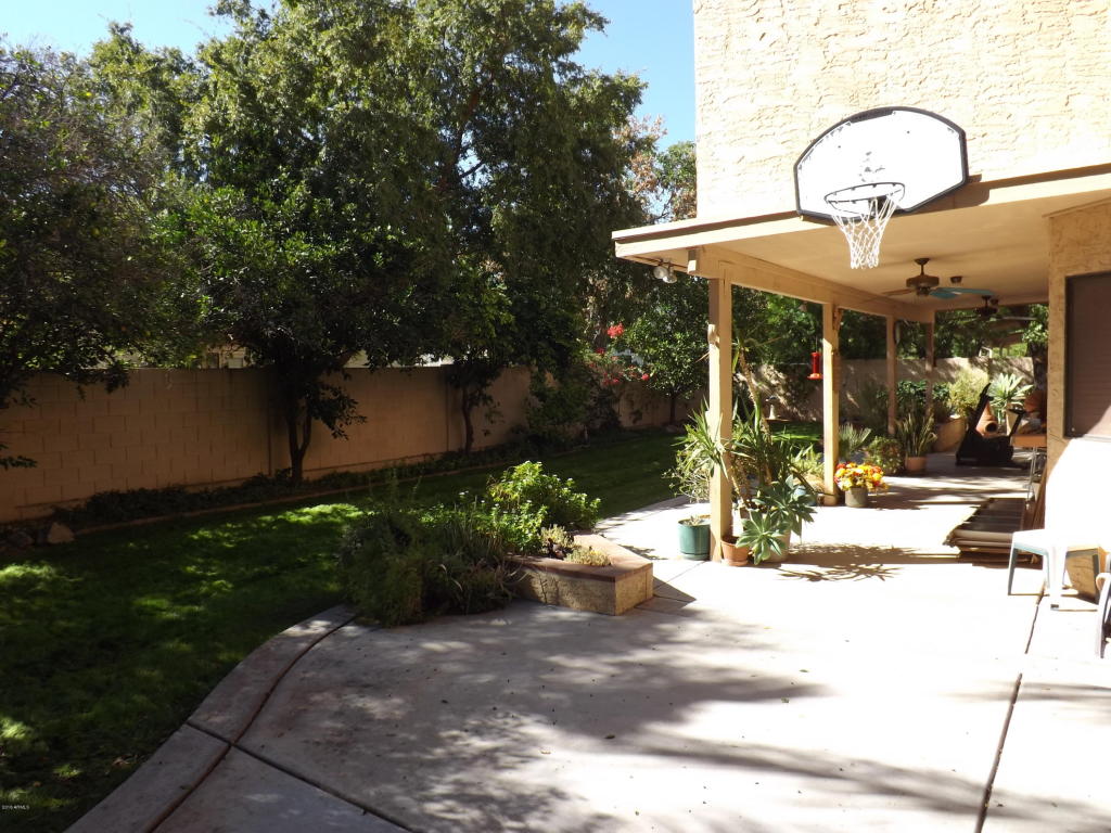 1231 E Grandview St, Mesa, AZ 85203 photo 41