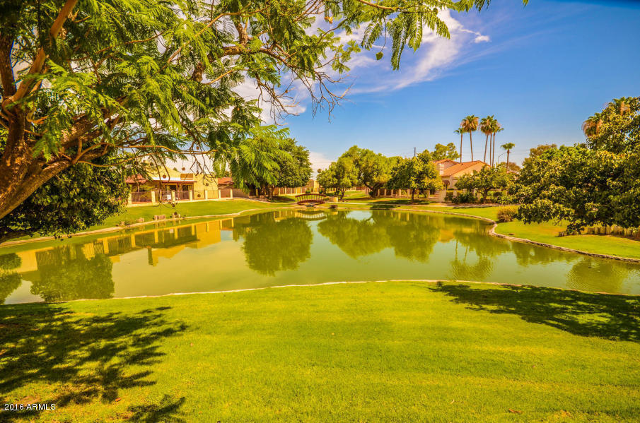 1231 E Grandview St, Mesa, AZ 85203 photo 44