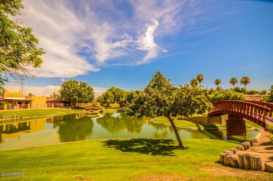 1231 E Grandview St, Mesa, AZ 85203 photo 8