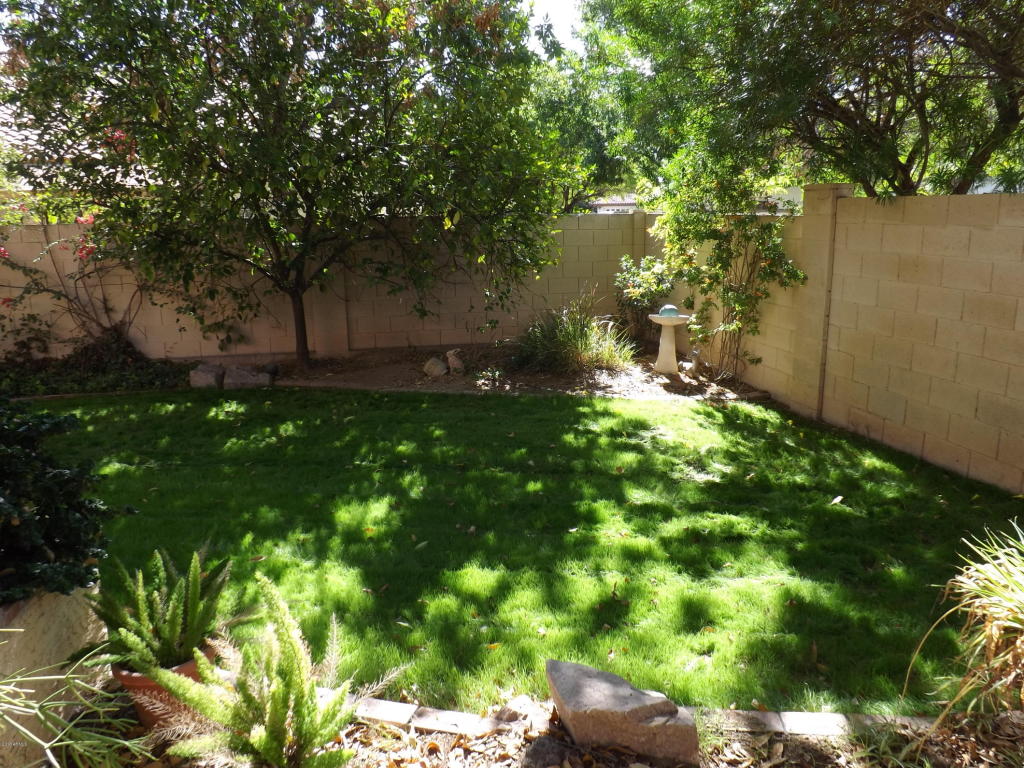 1231 E Grandview St, Mesa, AZ 85203 photo 42