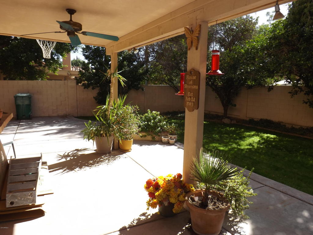 1231 E Grandview St, Mesa, AZ 85203 photo 35