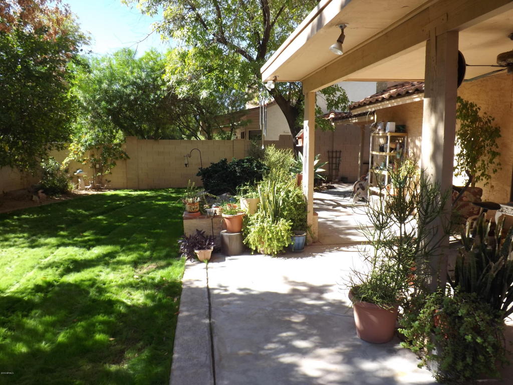 1231 E Grandview St, Mesa, AZ 85203 photo 20
