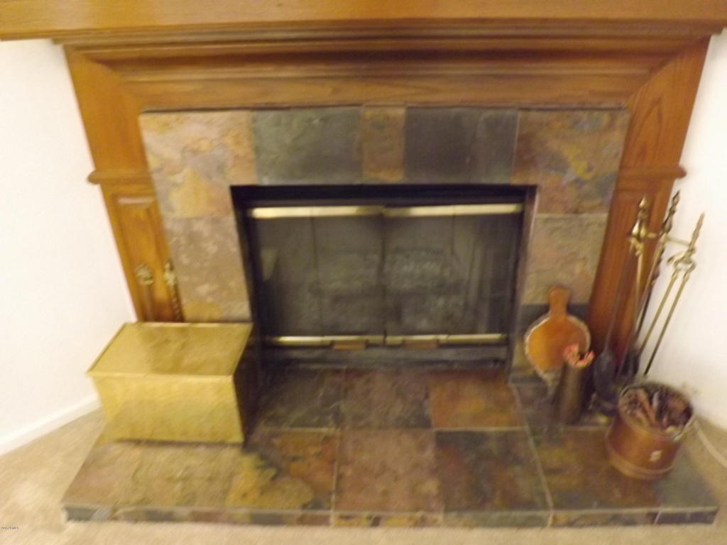 1231 E Grandview St, Mesa, AZ 85203 photo 34