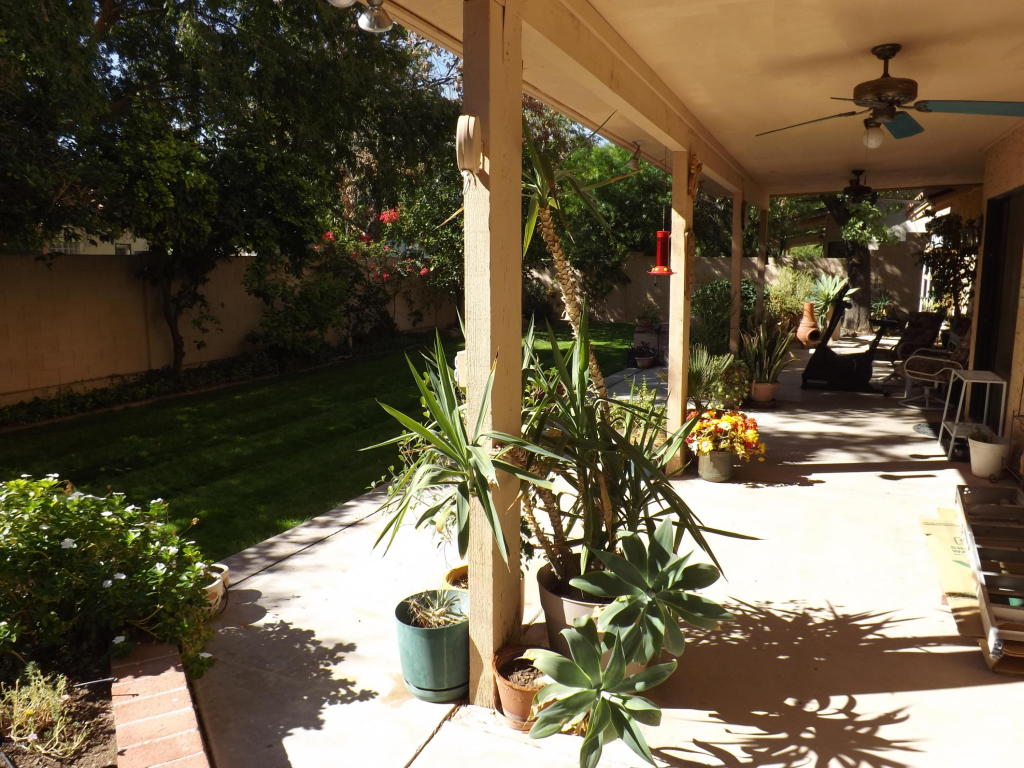 1231 E Grandview St, Mesa, AZ 85203 photo 39