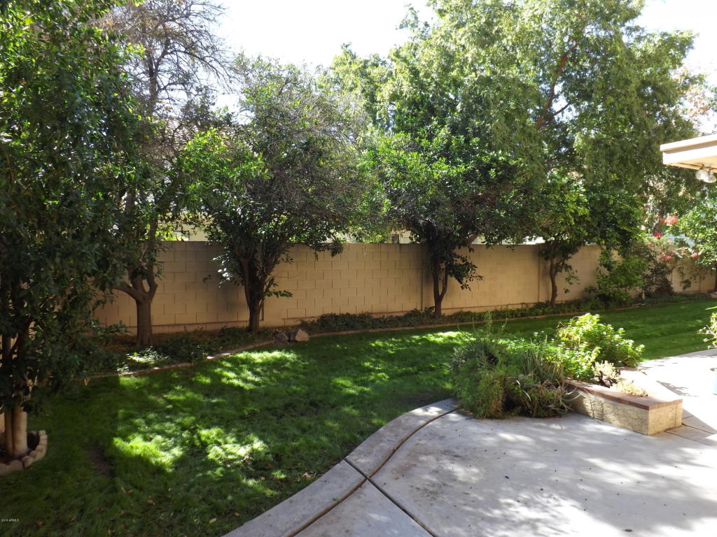 1231 E Grandview St, Mesa, AZ 85203 photo 37