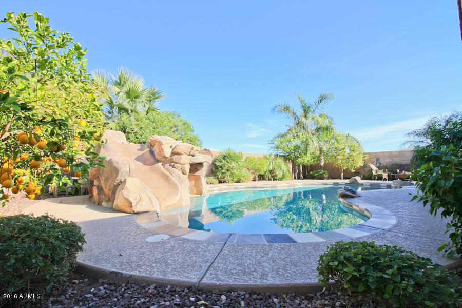 934 E Harwell Rd, Phoenix, AZ 85042 photo 10