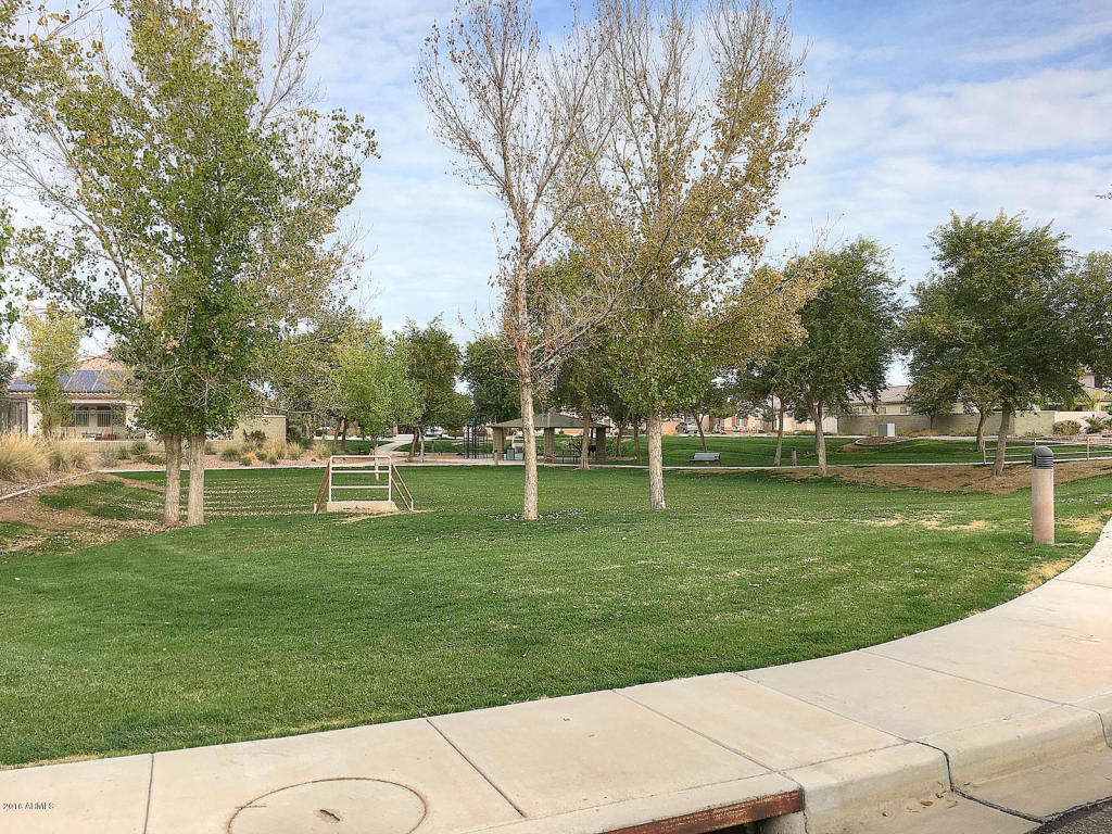 1067 E Doral Ave, Gilbert, AZ 85297 photo 45