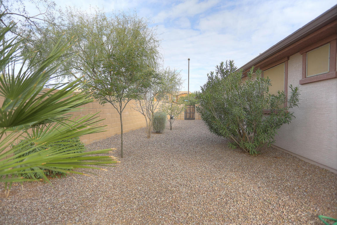 1067 E Doral Ave, Gilbert, AZ 85297 photo 33