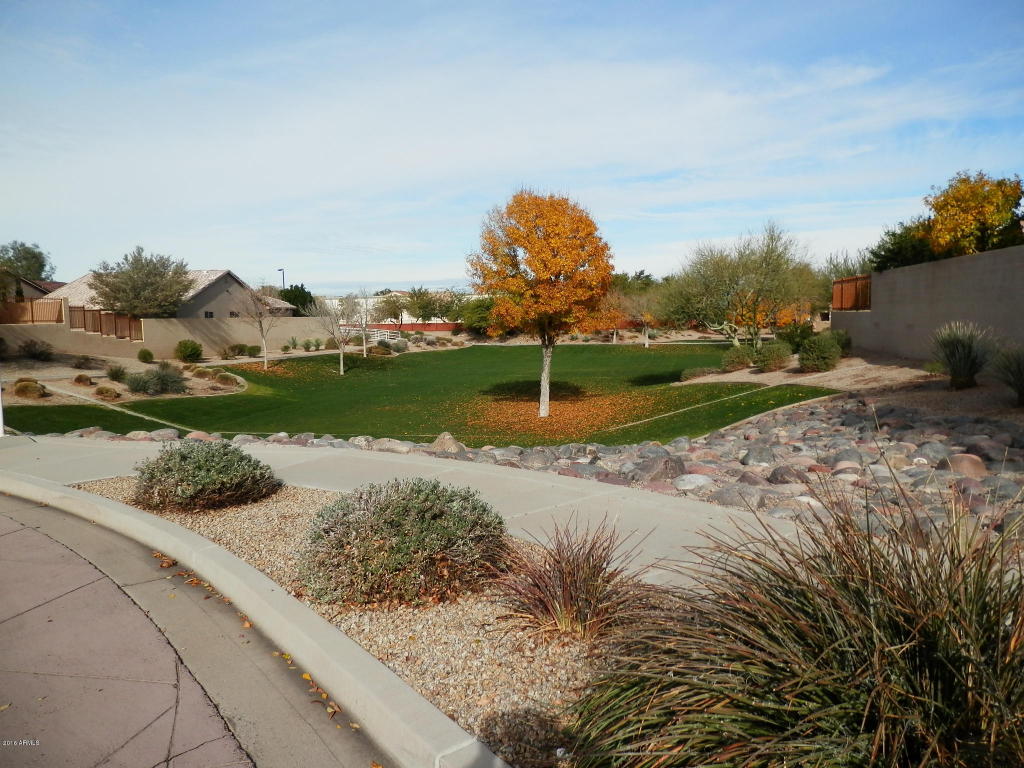 1829 E Beautiful Ln, Phoenix, AZ 85042 photo 20