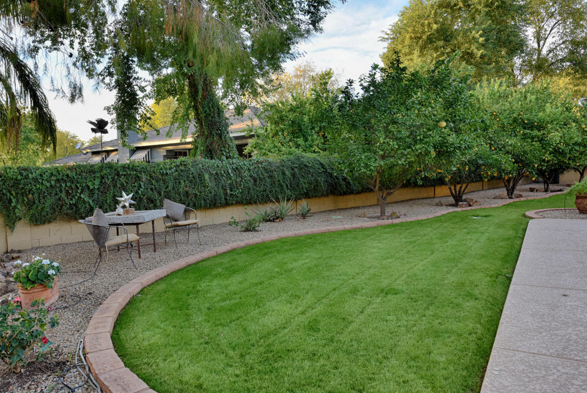 7334 N Central Ave, Phoenix, AZ 85020 photo 56