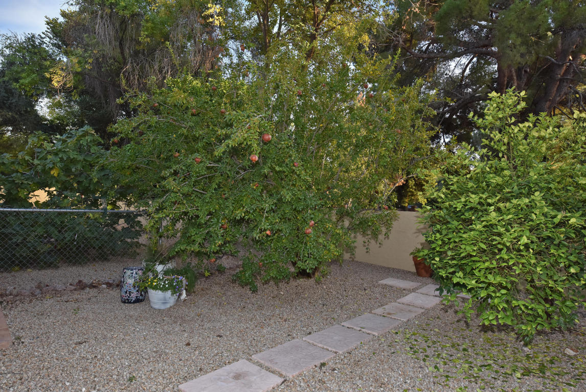 7334 N Central Ave, Phoenix, AZ 85020 photo 61