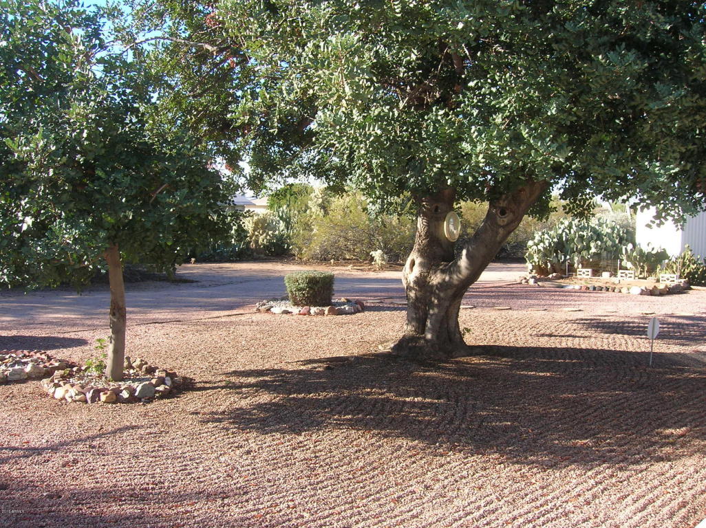 5633 E Decatur St, Mesa, AZ 85205 photo 5