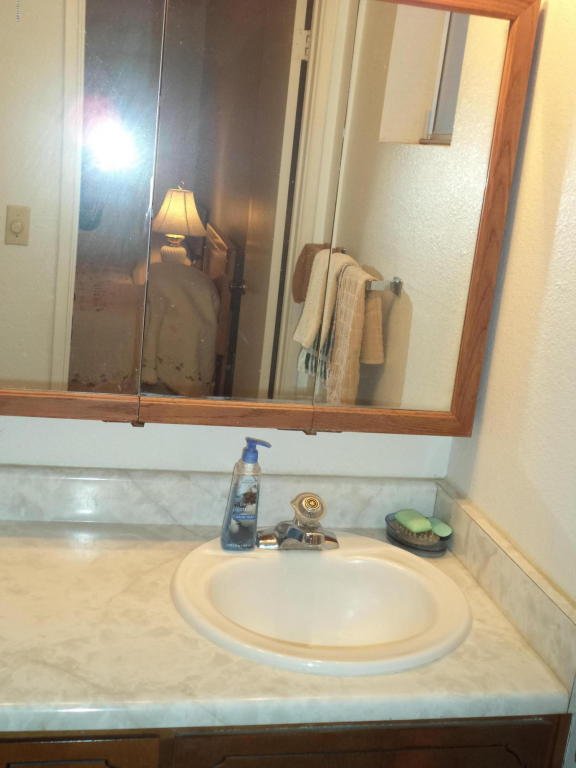 1244 S Main Dr, Apache Junction, AZ 85120 photo 15