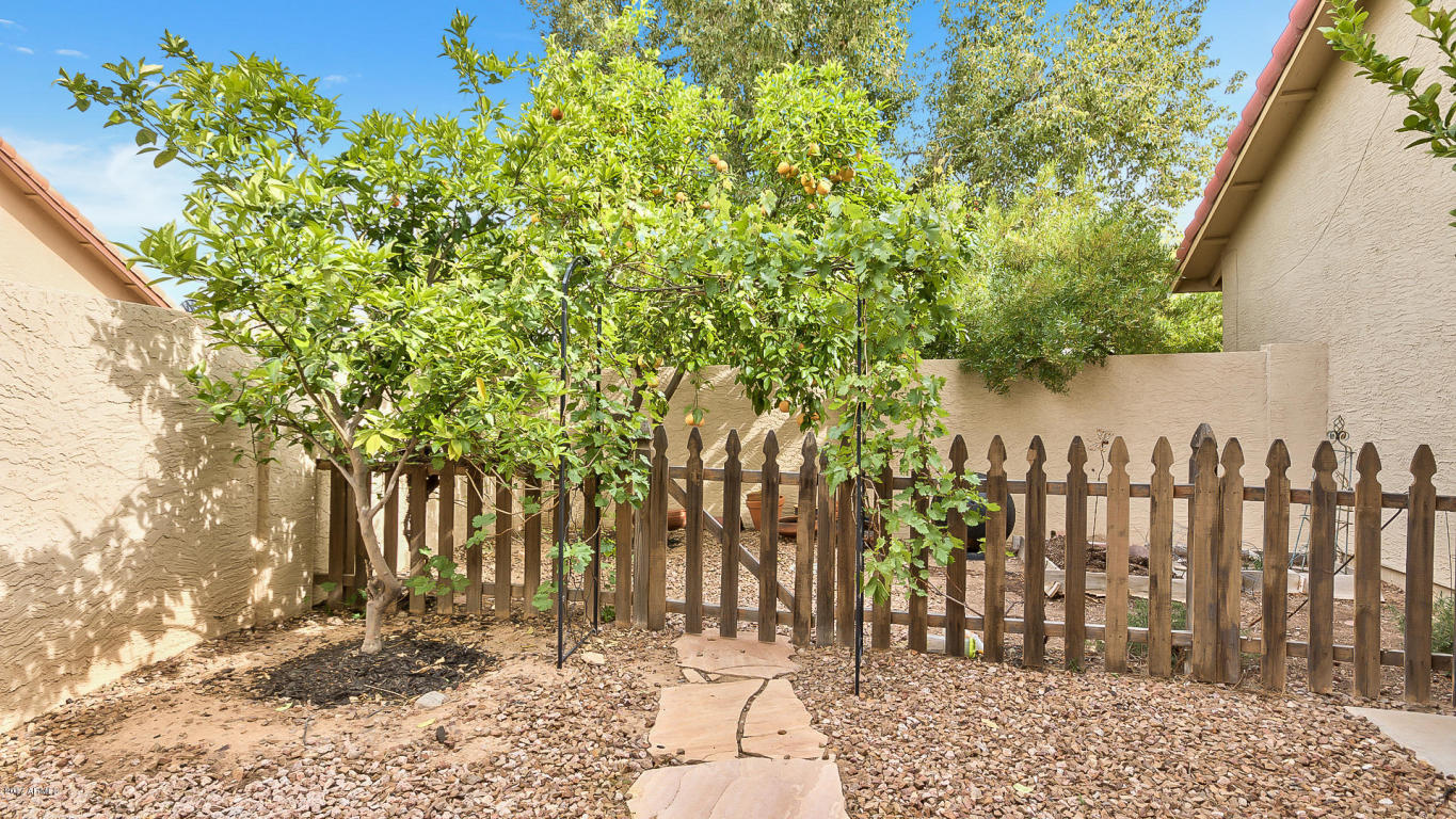 55 E Secretariat Dr, Tempe, AZ 85284 photo 38
