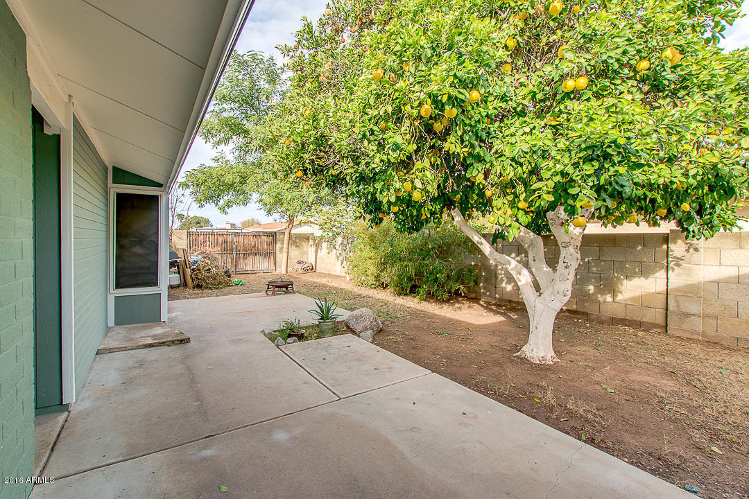 2408 Enrose St, Mesa, AZ 85213 photo 38