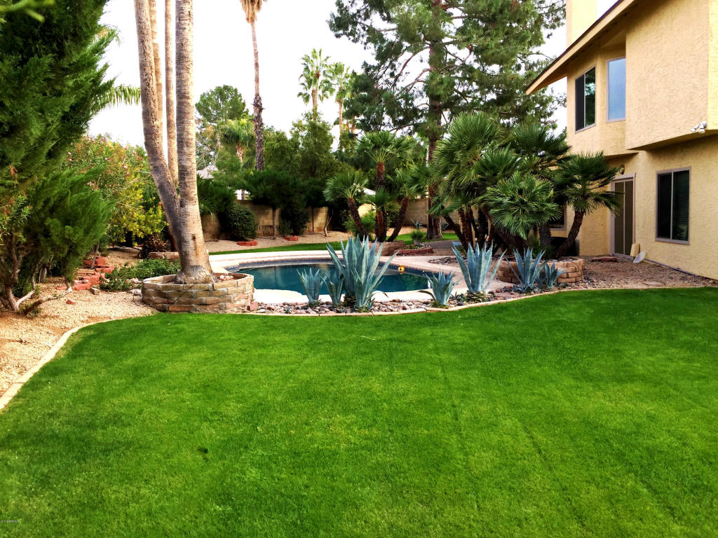 4430 E Beverly Ln, Phoenix, AZ 85032 photo 4