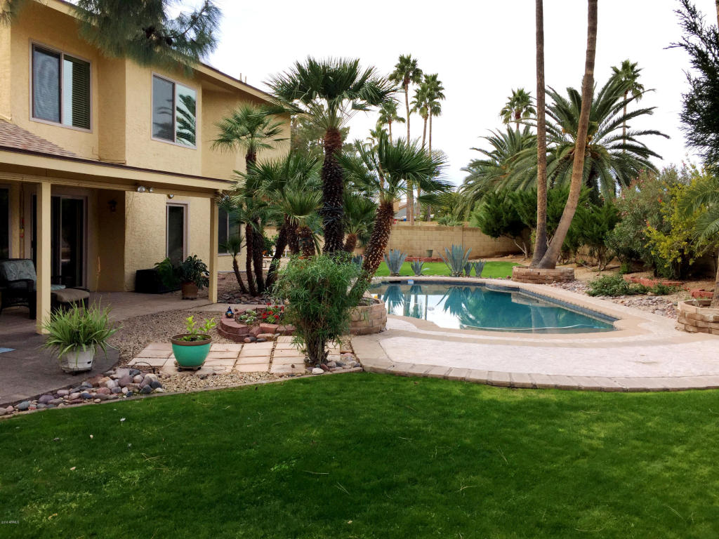 4430 E Beverly Ln, Phoenix, AZ 85032 photo 6