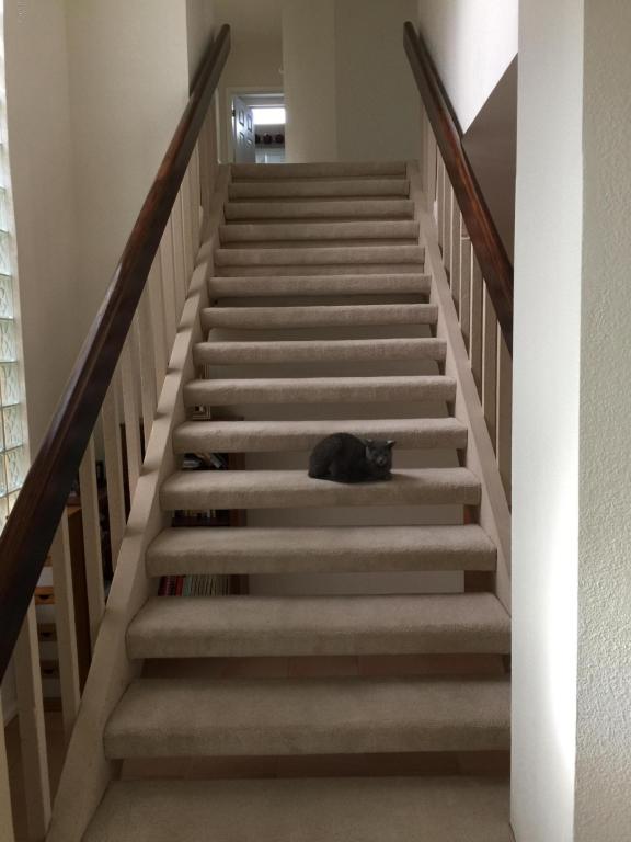 4430 E Beverly Ln, Phoenix, AZ 85032 photo 35