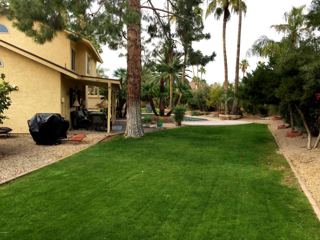 4430 E Beverly Ln, Phoenix, AZ 85032 photo 5