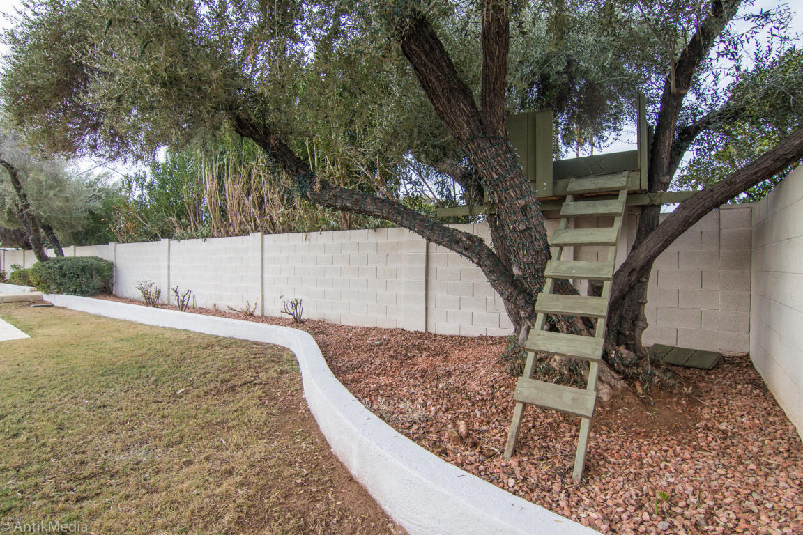 7712 N 4th Ave, Phoenix, AZ 85021 photo 38