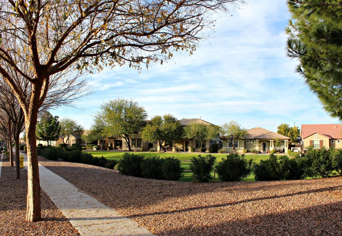 2589 E Bart St, Gilbert, AZ 85295 photo 21