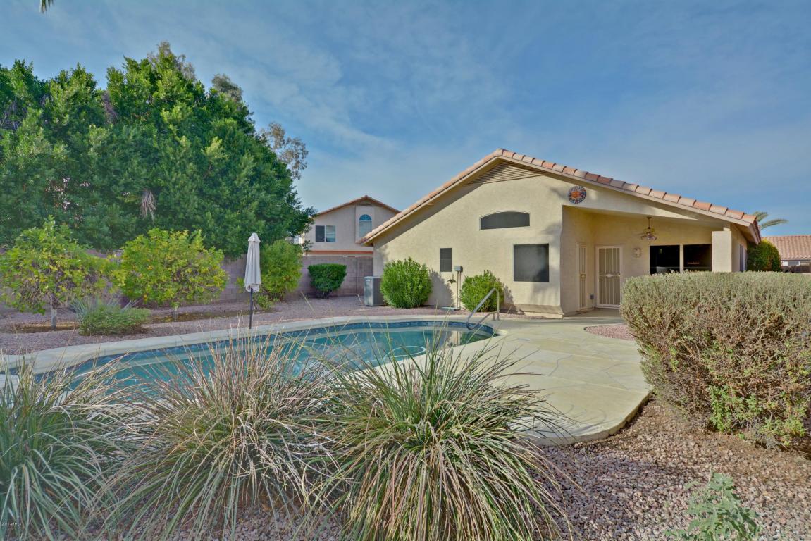 3229 E Mountain Vista Dr, Phoenix, AZ 85048 photo 10