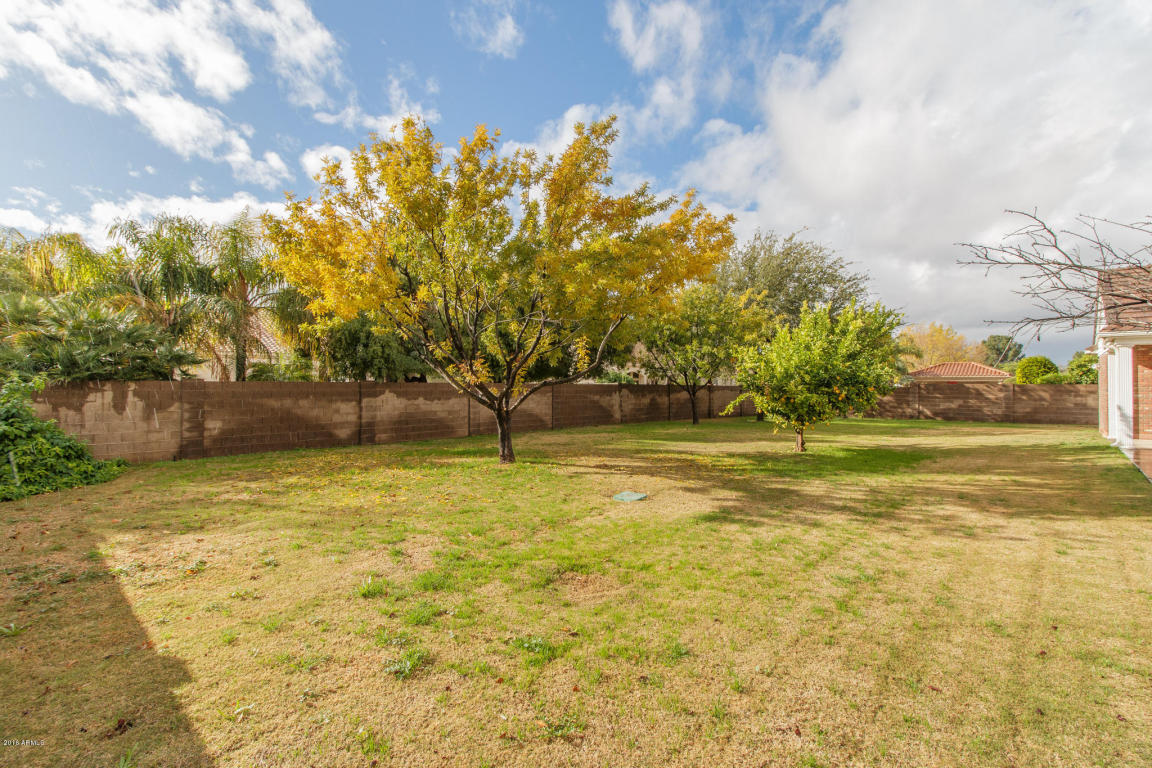 509 E Spur Ave, Gilbert, AZ 85296 photo 37