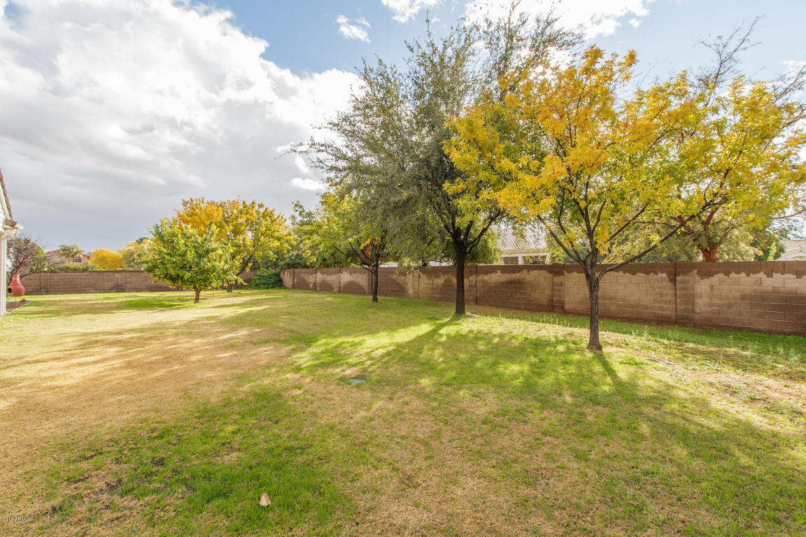 509 E Spur Ave, Gilbert, AZ 85296 photo 40