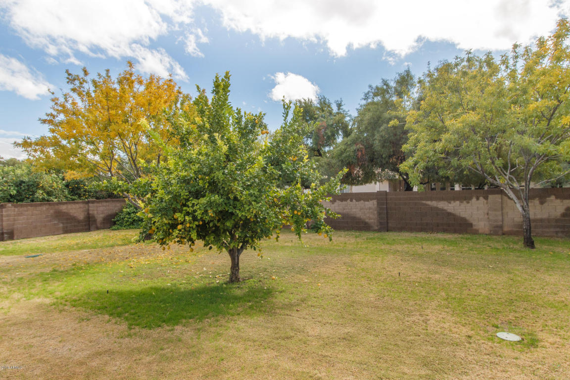 509 E Spur Ave, Gilbert, AZ 85296 photo 41