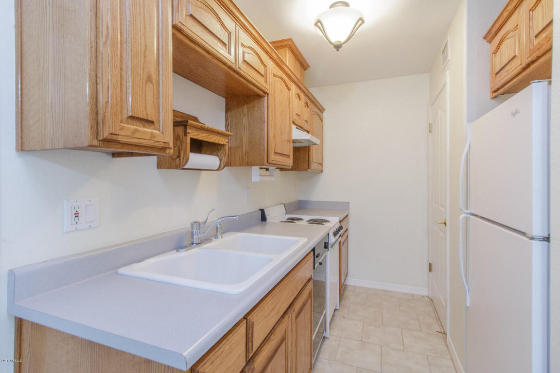 509 E Spur Ave, Gilbert, AZ 85296 photo 25