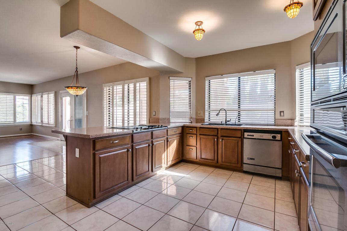 913 W Iris Dr, Gilbert, AZ 85233 photo 5