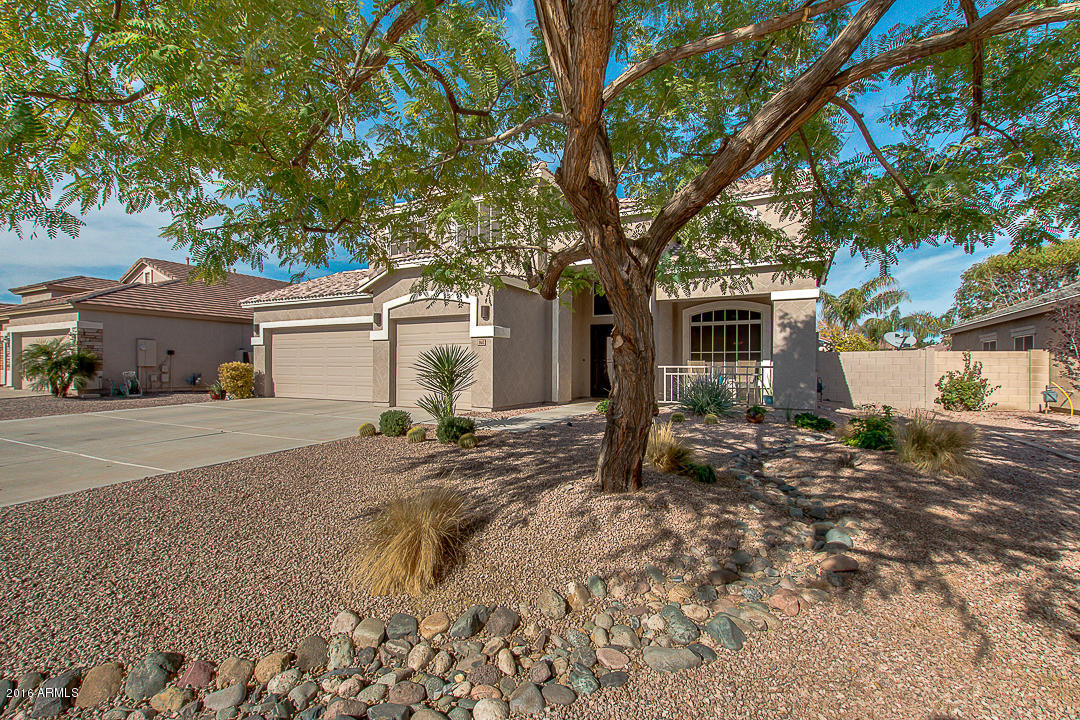3412 E Thornton Ave, Gilbert, AZ 85297 photo 3