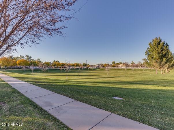 3339 E Comstock Dr, Gilbert, AZ 85296 photo 3