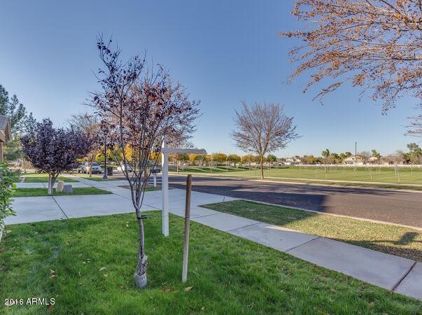 3339 E Comstock Dr, Gilbert, AZ 85296 photo 4