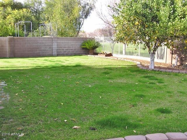 1390 E Orchid Ln, Gilbert, AZ 85296 photo 12